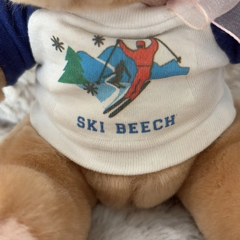 Russ Teddy Bear with Blue Sleeve and Pink Bow. Ski Beech. Vintage
